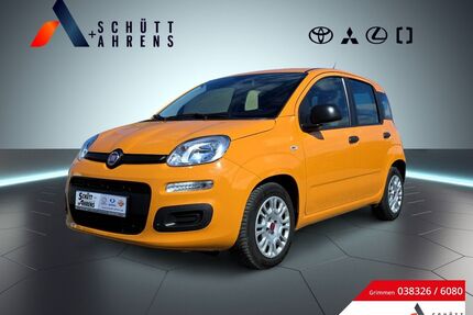 Fiat Panda Gebrauchtwagen