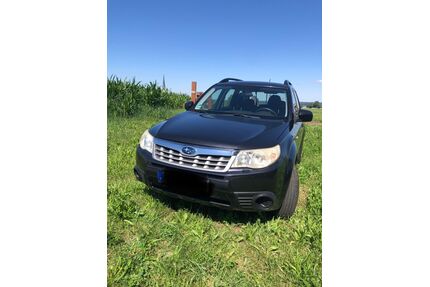 Subaru Forester Gebrauchtwagen