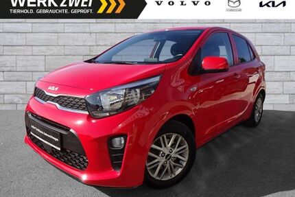 Kia Picanto Gebrauchtwagen