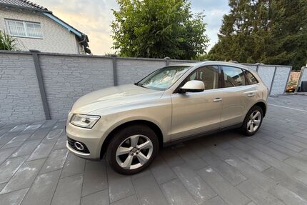 Audi Q5 Gebrauchtwagen