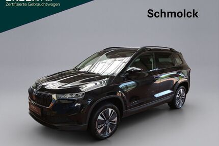 Skoda Karoq Gebrauchtwagen