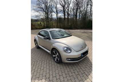 VW Beetle Gebrauchtwagen