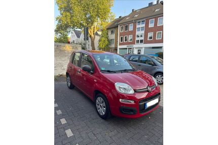 Fiat Panda Gebrauchtwagen