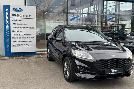 Ford Kuga Gebrauchtwagen