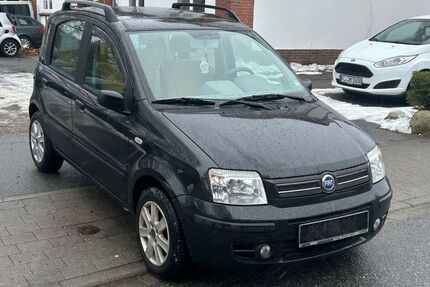 Fiat Panda Gebrauchtwagen