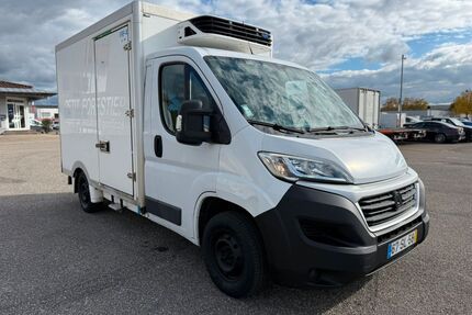 Fiat Ducato Gebrauchtwagen