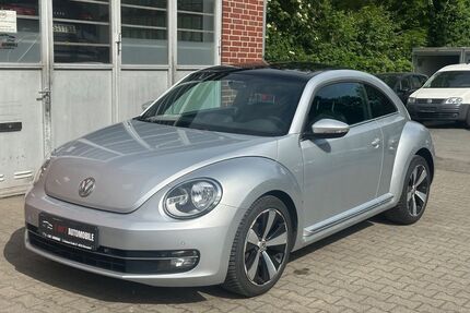 VW Beetle Gebrauchtwagen