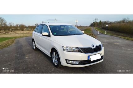 Skoda Rapid Gebrauchtwagen
