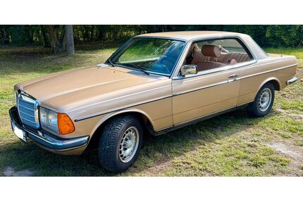 Mercedes-Benz 230 Gebrauchtwagen