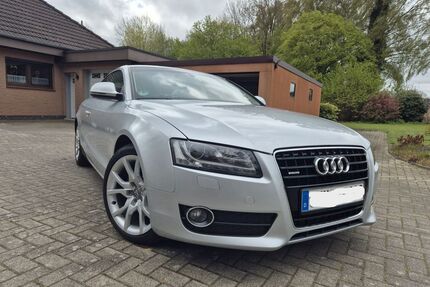 Audi A5 Gebrauchtwagen