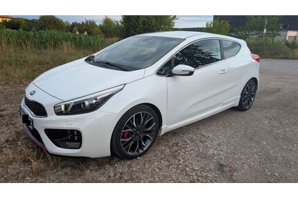 Kia pro ceed / ProCeed Gebrauchtwagen
