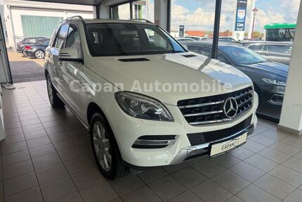 Mercedes-Benz ML 250 Gebrauchtwagen