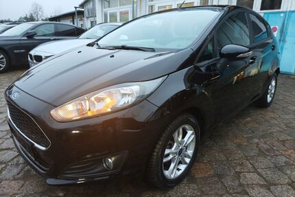 Ford Fiesta Gebrauchtwagen
