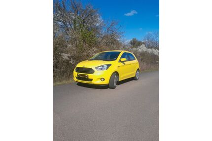 Ford Ka/Ka+ Gebrauchtwagen
