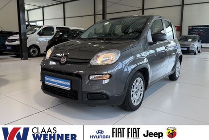 Fiat Panda Gebrauchtwagen