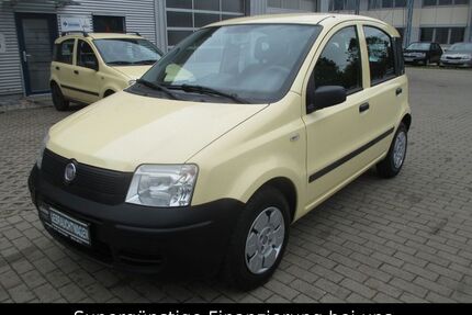 Fiat Panda Gebrauchtwagen