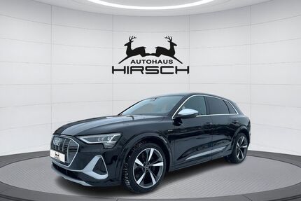 Audi e-tron Gebrauchtwagen
