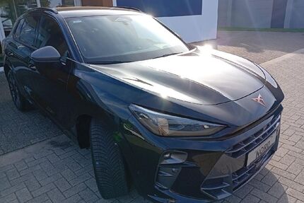 Cupra Terramar Gebrauchtwagen