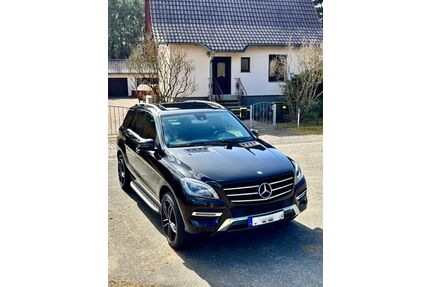 Mercedes-Benz ML 250 Gebrauchtwagen