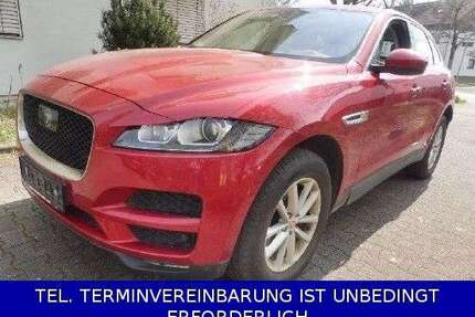 Jaguar F-Pace Gebrauchtwagen
