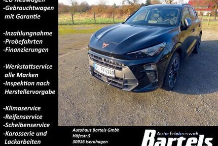 Cupra Terramar Gebrauchtwagen