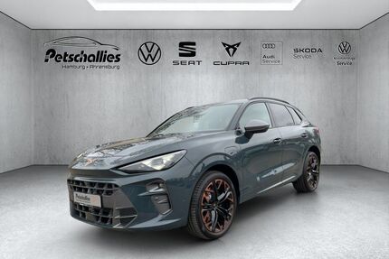 Cupra Terramar Gebrauchtwagen