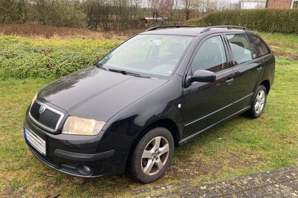 Skoda Fabia Gebrauchtwagen