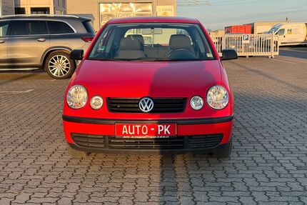 VW Polo Gebrauchtwagen