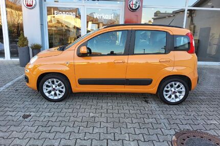 Fiat Panda Gebrauchtwagen