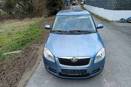 Skoda Fabia Gebrauchtwagen