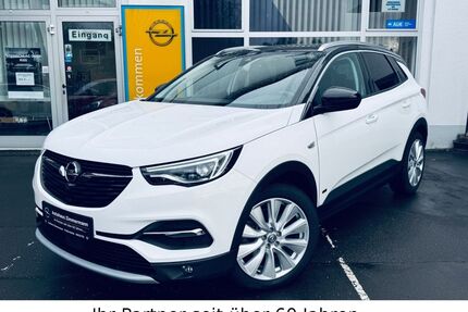 Opel Grandland (X) Gebrauchtwagen