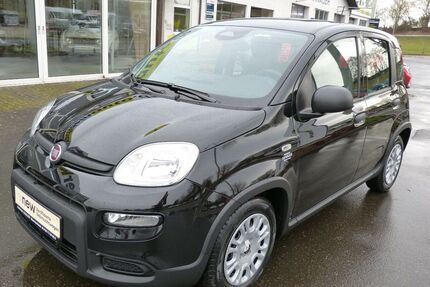 Fiat Panda Gebrauchtwagen