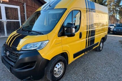Fiat Ducato Gebrauchtwagen