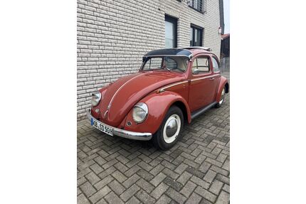 VW Käfer Gebrauchtwagen