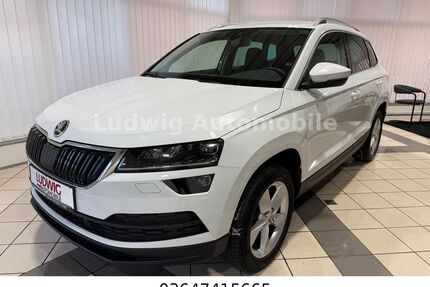 Skoda Karoq Gebrauchtwagen