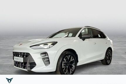 Cupra Terramar Gebrauchtwagen