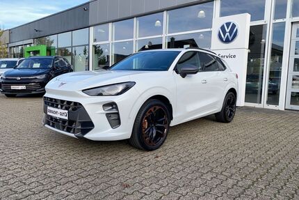 Cupra Terramar Gebrauchtwagen