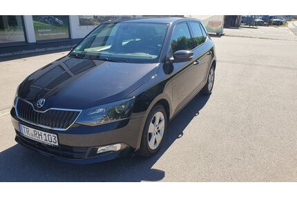 Skoda Fabia Gebrauchtwagen