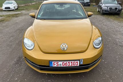 VW Beetle Gebrauchtwagen