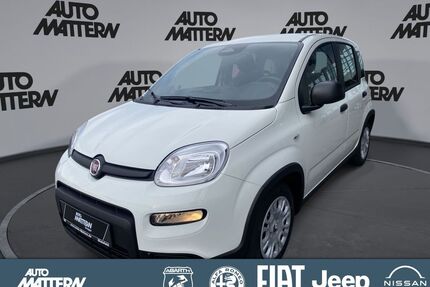 Fiat Panda Gebrauchtwagen