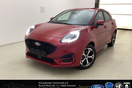 Ford Puma Gebrauchtwagen