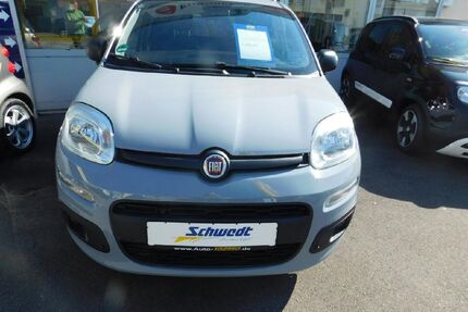Fiat Panda Gebrauchtwagen