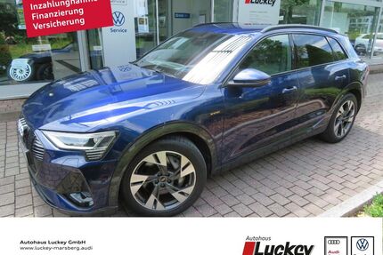 Audi e-tron Gebrauchtwagen