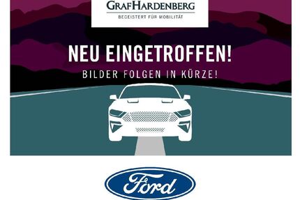 Ford Mustang Gebrauchtwagen
