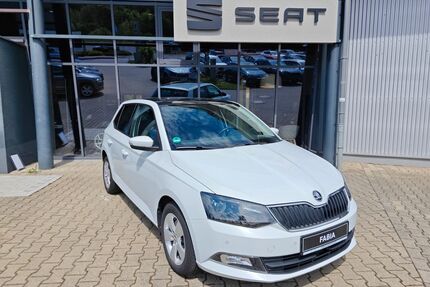 Skoda Fabia Gebrauchtwagen