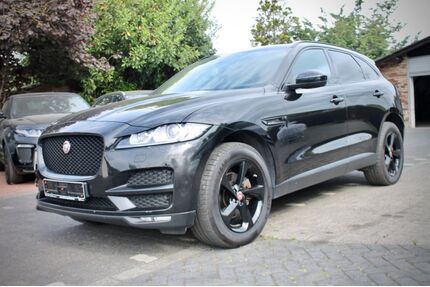 Jaguar F-Pace Gebrauchtwagen