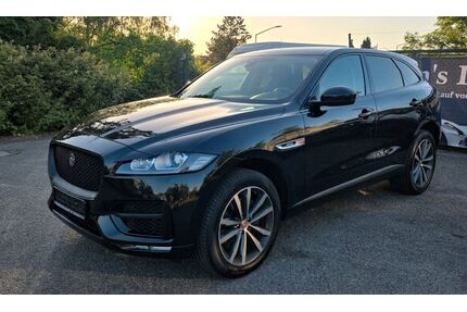 Jaguar F-Pace Gebrauchtwagen