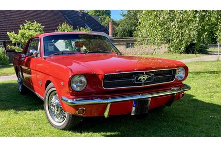 Ford Mustang Gebrauchtwagen