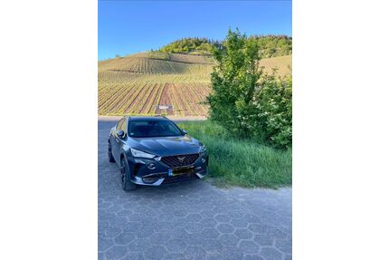 Cupra Formentor Gebrauchtwagen