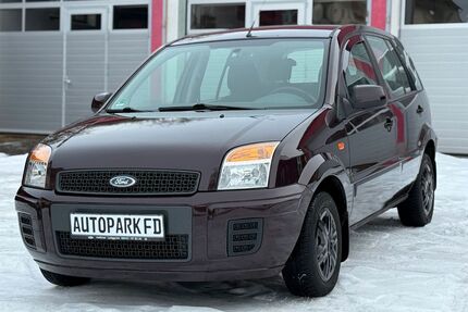 Ford Fusion Gebrauchtwagen